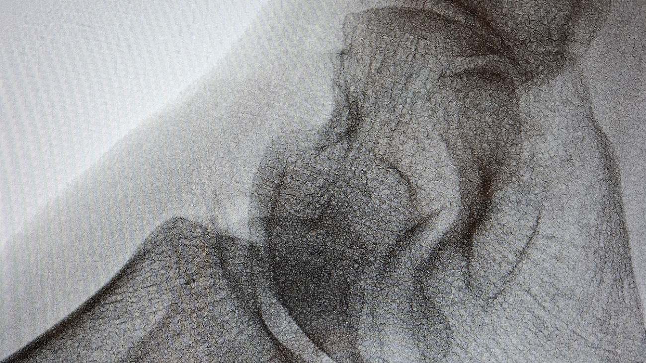 curiosita01